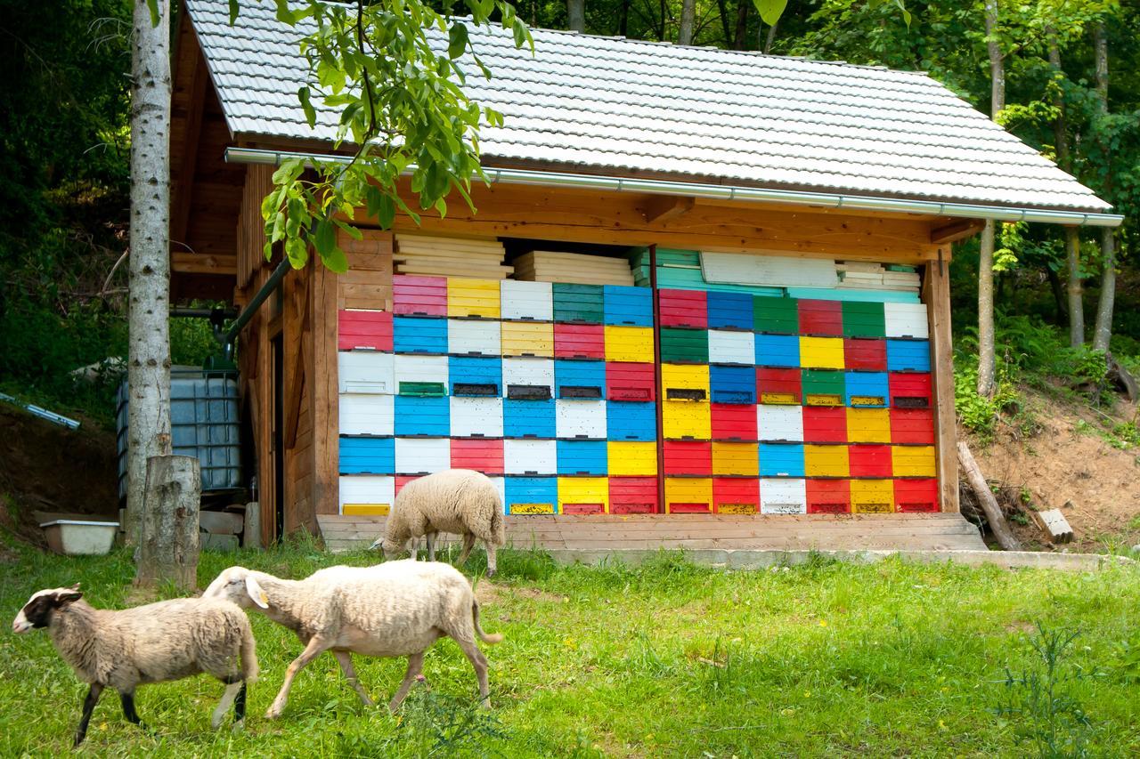 Holiday Resort Bela Krajina - Glamping And Mobile Homes Metlika Exterior foto